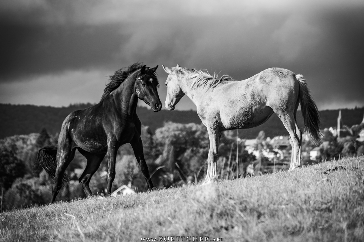 Www boettcher art Welcome www-boettcher-art-welcome